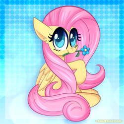 Size: 2000x2000 | Tagged: safe, artist:saveraedae, derpibooru import, fluttershy, pegasus, pony, g4, abstract background, blue background, cute, daaaaaaaaaaaw, female, flower, gradient background, looking at you, mare, mouth hold, pink mane, raised hoof, raised leg, shyabetes, simple background, solo, teal eyes, wings, yellow coat