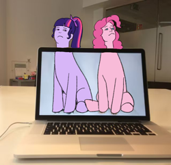 Size: 640x617 | Tagged: safe, artist:nimingxiwang168, derpibooru import, pinkie pie, twilight sparkle, equestria girls, g4, computer, duo, laptop computer, macbook, meme, ponified, ponified meme, real life background, trace, wat