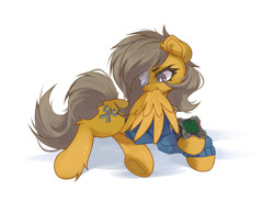 Size: 3950x3067 | Tagged: safe, artist:jfrxd, derpibooru import, oc, oc only, oc:clank, pegasus, pony, grooming, preening, simple background, solo, white background, wings