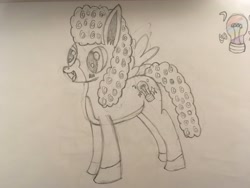 Size: 4032x3024 | Tagged: safe, artist:unlucky69, derpibooru import, oc, oc only, oc:unlucky, hybrid, mule, male, old art, sketch, solo, traditional art