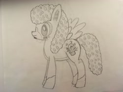 Size: 4032x3024 | Tagged: safe, artist:unlucky69, derpibooru import, oc, oc only, oc:unlucky, hybrid, mule, male, old art, sketch, solo, traditional art