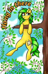 Size: 2100x3240 | Tagged: safe, artist:twinky, derpibooru import, oc, oc only, pony, cloud, ear fluff, ears, female, green mane, hang in there, hanging, leaf, mare, outdoors, solo, tree, tree branch