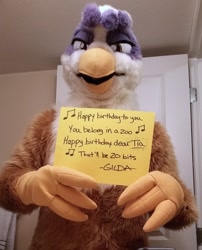 Size: 900x1116 | Tagged: safe, artist:neouka, artist:spainfischer, derpibooru import, gilda, griffon, human, g4, birthday song, card, fursuit, indoors, irl, irl human, photo, solo