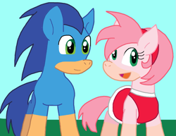 Size: 1031x794 | Tagged: safe, artist:cmara, derpibooru import, earth pony, pony, g4, amy rose, duo, duo male and female, female, male, ponified, rule 85, sonic the hedgehog, sonic the hedgehog (series), species swap