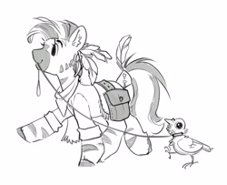 Size: 4096x3326 | Tagged: safe, artist:opalacorn, derpibooru import, oc, oc only, oc:philani, bird, pigeon, zebra, bag, black and white, female, grayscale, leash, mare, monochrome, mouth hold, saddle bag, simple background, solo, walking, white background, zebra oc