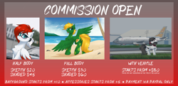 Size: 3235x1567 | Tagged: safe, artist:rieyadraws, derpibooru import, oc, oc only, oc:aerobeat, oc:jet blast, oc:turtle, earth pony, pegasus, advertisement, beach, car, commission, commission info, glasses, gradient background, looking at you, palm tree, plane, price sheet, tongue, tongue out, tree