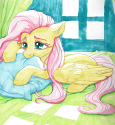 Size: 2134x2316 | Tagged: safe, artist:bcs, derpibooru import, fluttershy, pegasus, pony, g4, biting, cute, daaaaaaaaaaaw, indoors, lidded eyes, lying down, marker drawing, pillow, pillow biting, prone, shyabetes, solo, traditional art, window