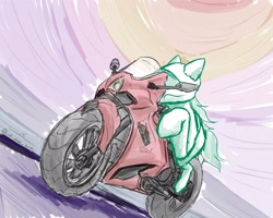 Size: 2500x2000 | Tagged: safe, artist:cole_does_arts, artist:kangatooth, derpibooru import, oc, oc only, earth pony, pony, colored, driving, helmet, motorcycle, motorcycle helmet, shading, solo, sport bike, vehicle