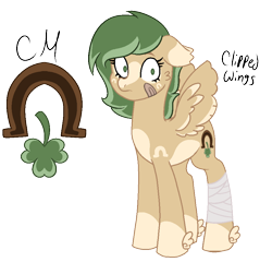 Size: 918x881 | Tagged: safe, artist:eclipsed-alienzz, derpibooru import, oc, oc only, oc:un-lucky charm, pegasus, pony, bandage, bandaged leg, bandaid, brown coat, cutie mark, green mane, pegasus oc, reference sheet, simple background, solo, tan coat, transparent background