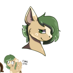 Size: 1280x1280 | Tagged: safe, artist:slyvester_skunk, derpibooru import, oc, oc only, oc:un-lucky charm, pegasus, pony, brown coat, bust, green mane, pegasus oc, portrait, simple background, solo, tan coat, transparent background