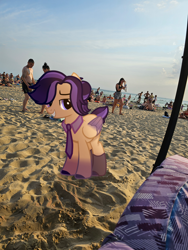 Size: 3000x4000 | Tagged: safe, derpibooru import, oc, oc only, human, pegasus, pony, g4, beach, clothes, female, grin, irl, irl human, looking at you, male, necktie, outdoors, pegasus oc, photo, ponies in real life, smiling, smiling at you