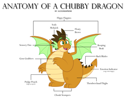 Size: 5953x4874 | Tagged: safe, artist:aleximusprime, derpibooru import, oc, oc only, oc:alex the chubby dragon, dragon, anatomy, anatomy chart, anatomy guide, chart, dragon oc, dragonsona, fat, happy, meme, non-pony oc, northern drake, plump, simple background, solo, spread wings, white background, wings