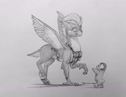 Size: 6842x5242 | Tagged: safe, artist:baron engel, derpibooru import, oc, oc:ping wing, bird, hippogriff, penguin, book, equipment, everfree northwest 2024, grayscale, hippogriff oc, monochrome, pencil drawing, practical clothing, realistic anatomy, spellbook, traditional art, wizard