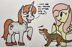 Size: 2047x1343 | Tagged: safe, artist:hoofclid, derpibooru import, fluttershy, oc, oc:hoofclid, otter, pegasus, pony, unicorn, chest fluff, female, hoof hold, horn, leash, male, mare, marker drawing, open mouth, open smile, smiling, stallion, traditional art, unshorn fetlocks, walk