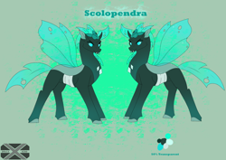 Size: 3508x2480 | Tagged: safe, derpibooru import, oc, oc only, oc:scolopendra, changedling, changeling, horn, insect wings, reference sheet, reformed, solo, wings