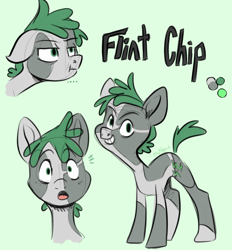 Size: 1190x1280 | Tagged: safe, artist:smirk, derpibooru import, oc, oc only, oc:flint chip, earth pony, fallout equestria, coat markings, colt, dappled, foal, green background, male, simple background, solo, stallion, text