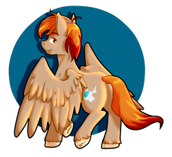 Size: 3030x2763 | Tagged: safe, artist:fleiiha, derpibooru import, oc, oc only, oc:fededash, pegasus, pony, butt, commission, commission open, digital art, hooves, original art, pegasus oc, plot, redesign, smug, wings