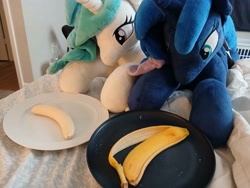 Size: 4080x3060 | Tagged: safe, derpibooru import, princess celestia, princess luna, alicorn, pony, g4, banana, banana peel, duo, eating, female, food, indoors, irl, lying down, photo, plate, plushie, prone, royal sisters, siblings, sisters