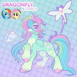 Size: 1900x1900 | Tagged: safe, artist:pinxpony, derpibooru import, fluttershy, rainbow dash, oc, oc:dragonfly, pegasus, pony, rabbit, g4, animal, coat markings, ears, facial markings, female, floppy ears, fusion:fluttershy, fusion:rainbow dash, hair over one eye, looking at you, mare, multicolored hair, pale belly, smiling, smiling at you, snip (coat marking), solo, unshorn fetlocks