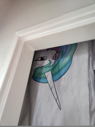 Size: 6120x8160 | Tagged: safe, derpibooru import, princess celestia, alicorn, pony, dakimakura cover, door, indoors, irl, photo, smuglestia, soon, upside down