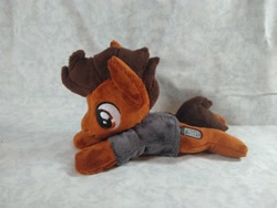 Size: 4096x3072 | Tagged: safe, artist:bluedragonflyplush, derpibooru import, earth pony, pony, all time low, clothes, commission, irl, lying down, male, photo, plushie, ponified, prone, rian dawson, shirt, solo, species swap, stallion, t-shirt