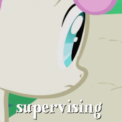 Size: 452x452 | Tagged: safe, derpibooru import, screencap, twinkleshine, pony, unicorn, friendship is magic, g4, season 1, background pony, cropped, female, horn, mare, solo, supervising