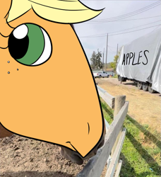 Size: 621x680 | Tagged: safe, artist:this_sl0th, derpibooru import, applejack, earth pony, pony, edited photo, fence, hoers, pickup truck, ponified animal photo, seems legit, solo, trailer, truck