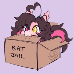 Size: 1000x1000 | Tagged: safe, artist:cuiicie, derpibooru import, oc, oc only, oc:key mash, bat pony, pony, ahoge, behaving like a cat, box, cardboard box, cute, cute little fangs, fangs, female, heterochromia, mare, pony in a box, solo