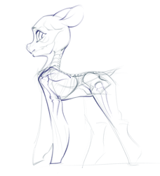 Size: 1836x2010 | Tagged: safe, artist:blue ink, derpibooru import, earth pony, pony, anatomy, big ears, concave belly, dock, ears, monochrome, side view, sketch, slender, solo, spine, tail, thin