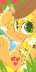 Size: 720x1418 | Tagged: safe, artist:choyamy, derpibooru import, applejack, insect, ladybug, pony, g4, applejack's hat, clothes, cowboy hat, hat, smiling, underhoof