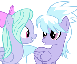 Size: 6000x4960 | Tagged: safe, artist:meghan-zurosaki, derpibooru import, cloudchaser, flitter, pegasus, pony, g4, bow, duo, duo female, female, folded wings, looking at each other, looking at someone, mare, simple background, transparent background, vector, wings