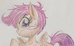 Size: 1133x705 | Tagged: safe, artist:pinkamenademonpie, derpibooru import, scootaloo, pegasus, pony, solo