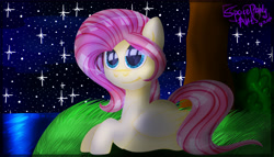 Size: 7000x4000 | Tagged: safe, artist:spaceponyarts, derpibooru import, fluttershy, pegasus, pony, g4, absurd resolution, grass, night, shiny eyes, solo, stars, tree, water