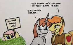 Size: 2047x1250 | Tagged: safe, artist:hoofclid, derpibooru import, braeburn, fluttershy, oc, oc:hoofclid, earth pony, pegasus, pony, unicorn, bush, canon x oc, chest freckles, dialogue, female, freckles, gay, hatless, horn, male, mare, marker drawing, missing accessory, open mouth, open smile, shipper on deck, shipping, sign, smiling, stallion, traditional art, trio