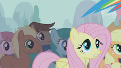 Size: 1280x720 | Tagged: safe, derpibooru import, screencap, applejack, fluttershy, meadow song, rainbow dash, spring melody, sprinkle medley, earth pony, pegasus, pony, boast busters, g4, season 1, chocolate haze, female, male, mare, offscreen character, pink cloud (g4), stallion