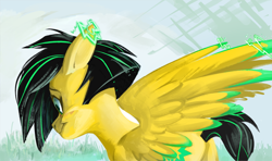 Size: 780x461 | Tagged: safe, artist:beherelongtime, derpibooru import, oc, oc only, oc:lightning bug, pegasus, pony, fanfic:song of seven, black mane, cyan eyes, green eyes, pegasus oc, two toned mane, wings, yellow coat