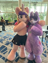 Size: 3024x4032 | Tagged: safe, artist:qtpony, derpibooru import, princess cadance, twilight sparkle, human, clothes, convention, duo, fursuit, indoors, irl, irl human, megaplex, photo, ponysuit, skirt