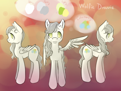 Size: 1200x900 | Tagged: safe, artist:wolfiedrawie, derpibooru import, oc, oc only, oc:wolfie drawie, pegasus, pony, abstract background, disabled, female, mare, reference sheet, solo