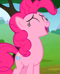 Size: 482x594 | Tagged: safe, derpibooru import, pinkie pie, earth pony, pony, g4, the maud couple, eyes closed, outdoors