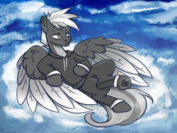 Size: 2751x2081 | Tagged: safe, artist:sonyager, derpibooru import, oc, oc only, oc:dream starset, pegasus, pony, clothes, cloud, full body, hoodie, lidded eyes, on a cloud, outdoors, solo