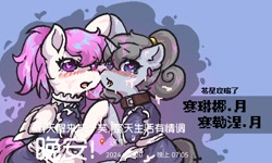 Size: 1200x720 | Tagged: safe, artist:窝牛牛, derpibooru import, oc, oc only, oc:selene·moon, oc:selina·moon, pegasus, pony, unicorn, banned from equestria daily, duo, gradient background, horn