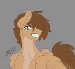 Size: 2048x1890 | Tagged: safe, artist:rhodium, derpibooru import, oc, oc only, oc:petrichor, pegasus, chest fluff, ear fluff, ears, fluffy, gray background, grin, male, pegasus oc, simple background, smiling, solo, stallion