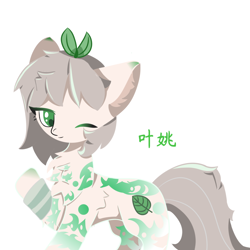 Size: 1080x1080 | Tagged: safe, artist:星荧点点, derpibooru import, oc, oc only, oc:叶姚, earth pony, pony, chest fluff, simple background, solo, white background