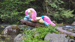 Size: 4032x2268 | Tagged: safe, artist:anonymous, artist:qtpony, derpibooru import, fluttershy, pegasus, g4, blue stripes, blushing, bow, clothes, female, fluttershy plushie, forelegs crossed, irl, log, mare, nature, outdoors, photo, plushie, socks, solo, stone, striped socks, tail, tail bow, water, white stripes