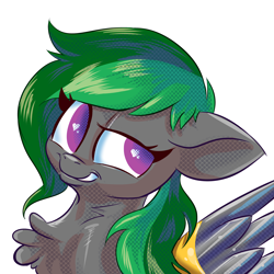 Size: 4800x4800 | Tagged: safe, artist:lytlethelemur, derpibooru import, oc, oc only, oc:twisted shadow, pegasus, pony, chest fluff, pegasus oc, simple background, solo, white background