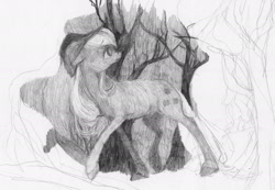 Size: 1787x1234 | Tagged: safe, artist:wolfiedrawie, derpibooru import, applejack, earth pony, pony, g4, black and white, female, forest, grayscale, mare, monochrome, nature, solo, traditional art, tree