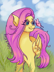 Size: 828x1104 | Tagged: safe, artist:an25darkking, derpibooru import, fluttershy, pegasus, pony, g4, outdoors, solo