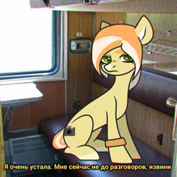 Size: 1536x1536 | Tagged: safe, artist:victoria_nik, derpibooru import, oc, oc only, oc:melting cocktail, earth pony, pony, angry, base used, cyrillic, green eyes, looking at you, real life background, sitting, solo, subtitles