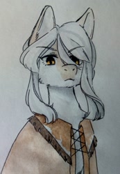 Size: 746x1080 | Tagged: oc name needed, safe, artist:illustra, derpibooru import, oc, oc only, earth pony, pony, bust, cheek fluff, ear fluff, ears, earth pony oc, eyebrows, eyebrows visible through hair, looking at you, marker drawing, native american, simple background, solo, traditional art, white background, white coat