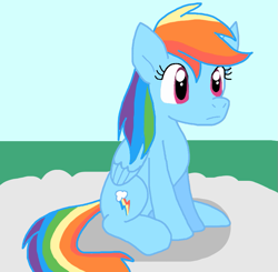 Size: 855x838 | Tagged: safe, artist:cmara, derpibooru import, rainbow dash, pegasus, g4, female, sitting, solo